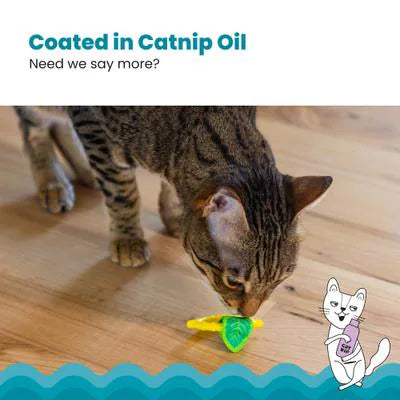 Catstages® Dental Lemon Teether