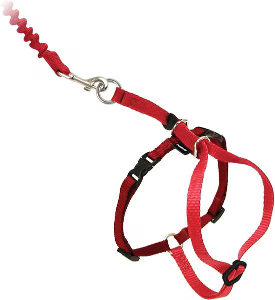 Come With Me Kitty Harness & Bungee Leash Red