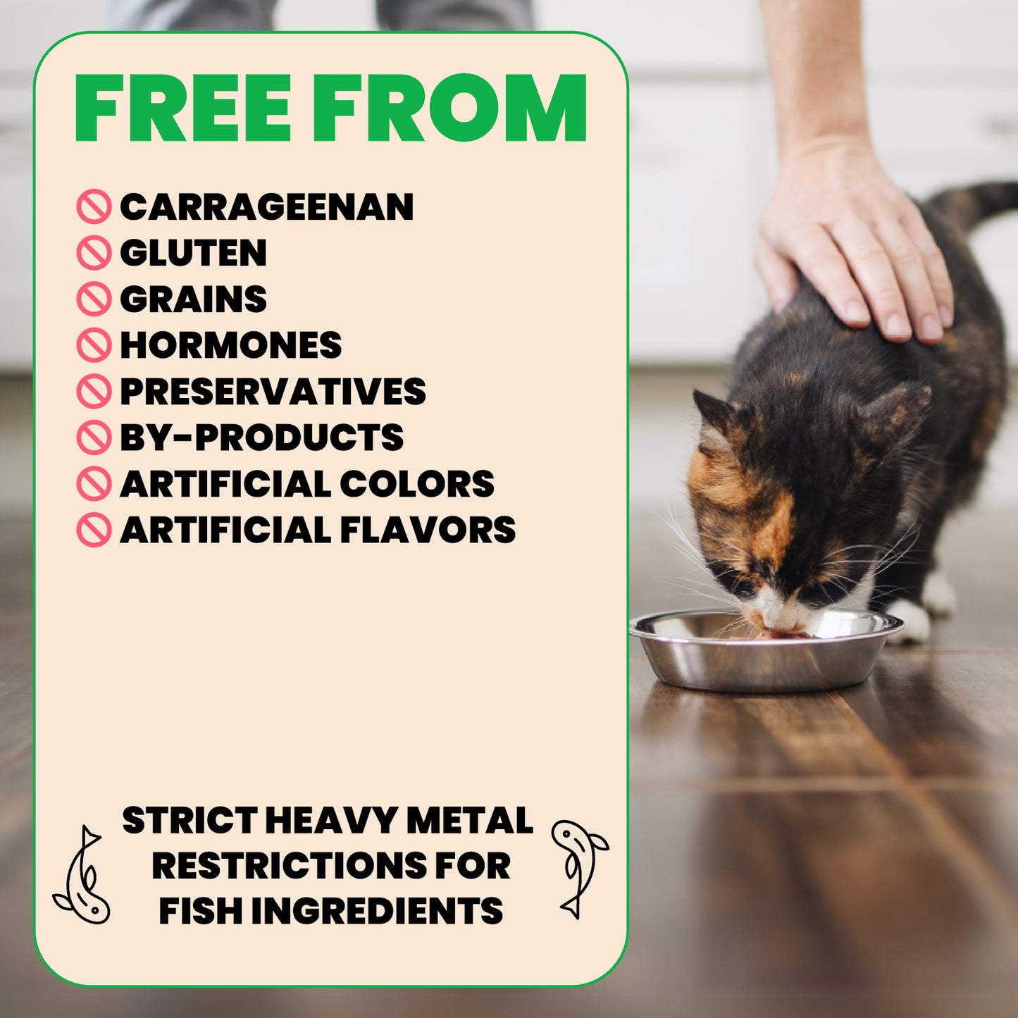 Almo Nature Tuna and Cheese in Broth HQS Natural Cat Food 150g