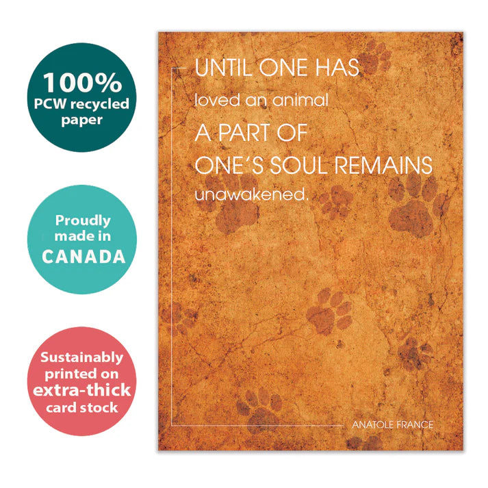 Tree Free Greetings🍁 Unawakened Soul Pet Sympathy