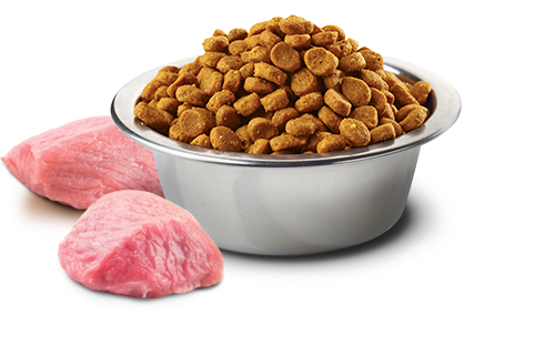 Farmina N&D Kitten Prime Chicken & Pomegranate for Kittens