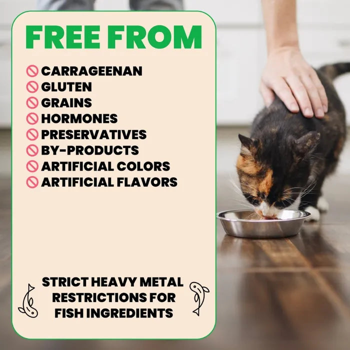 Almo Natura HQS Natural Chicken Breast in Broth for Cats 70g