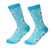 Unisex Sock Daddy Bichon Frise