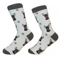 Unisex Sock Daddy Chihuahua - Blk/Tan