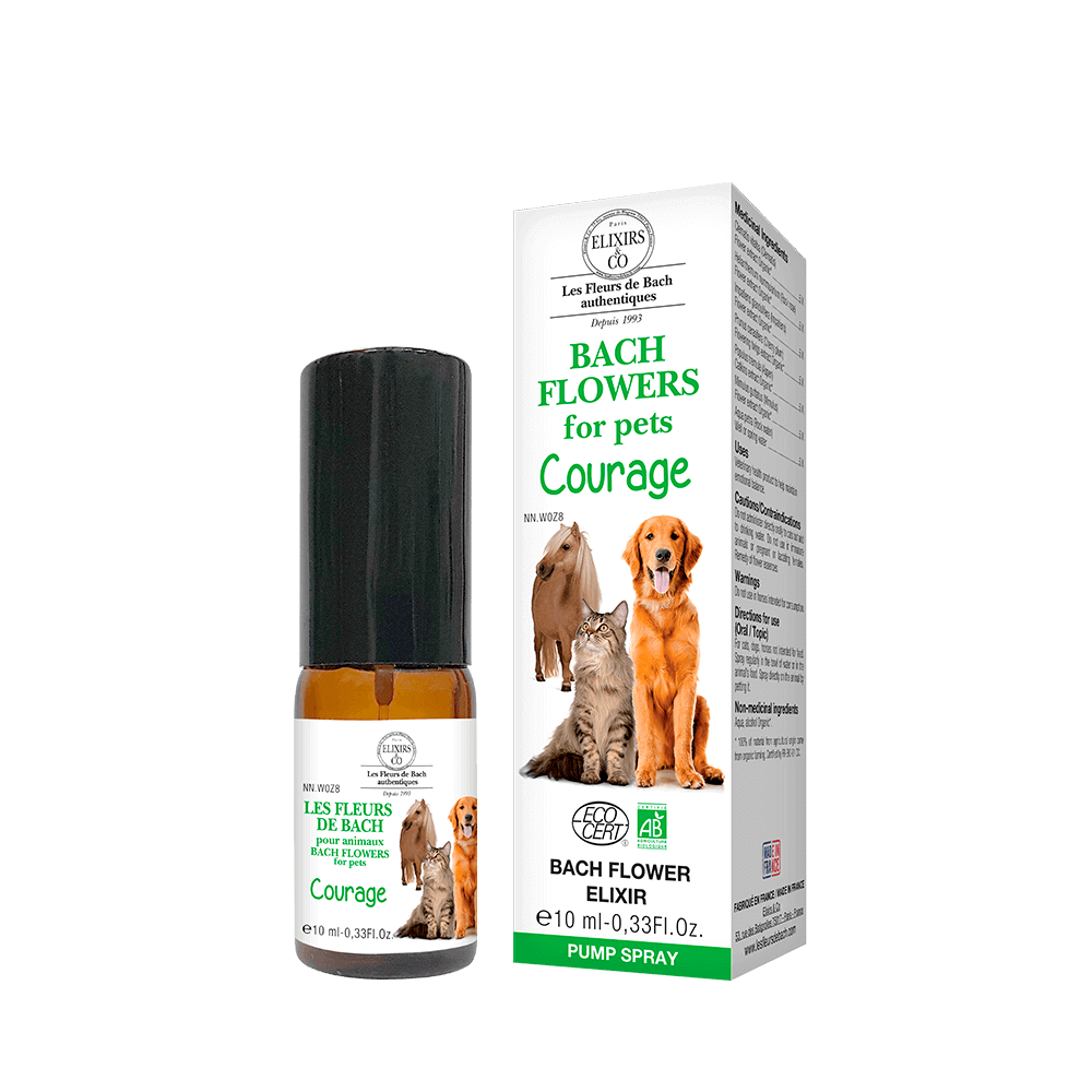 Bach Flowers🍁 For Pets Courage Elixir