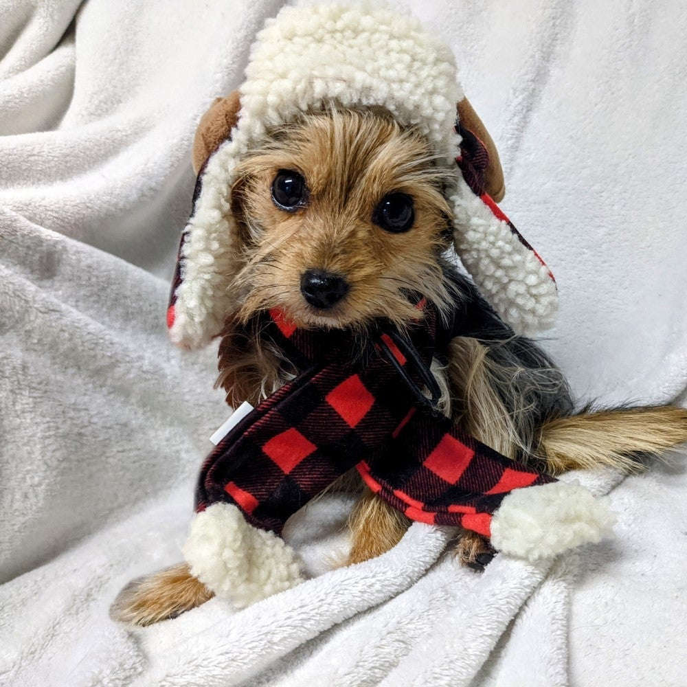 Huxley + Kent Buffalo Check Antler Hat with SnugFit®