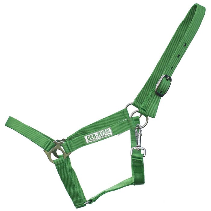 Ger-Ryan Lime Premium Nylon Halter - Full Horse