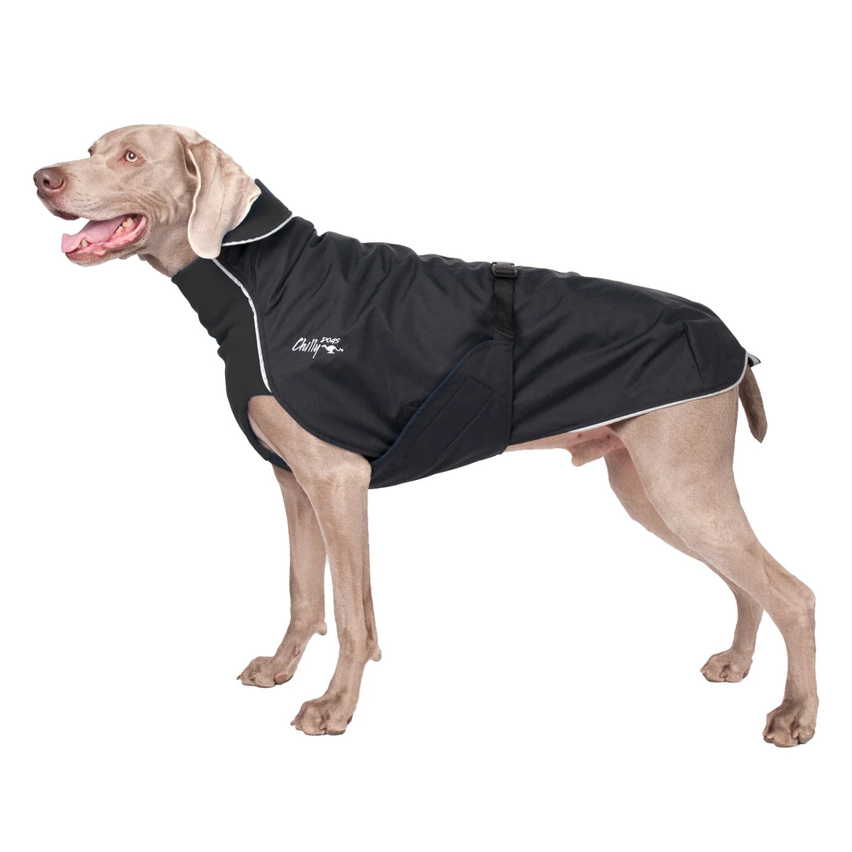 Chilly Dogs 🍁 Black Northern Blazer with Harness Hole