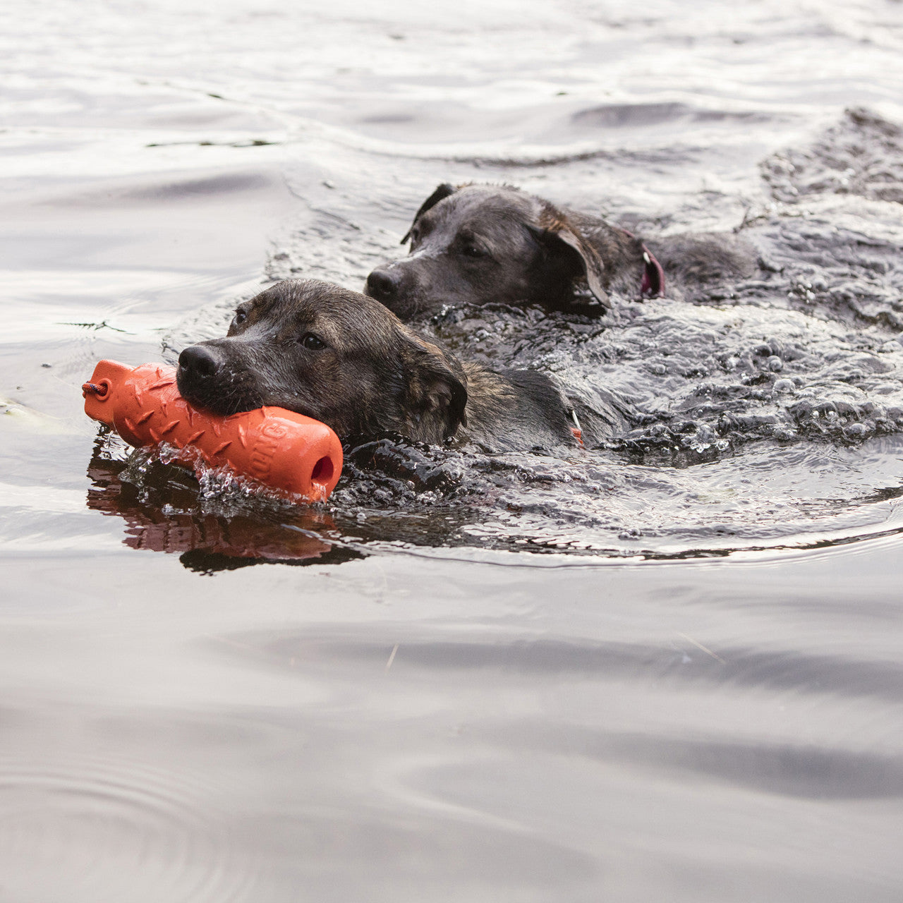 Kong® Floating Training Dummy