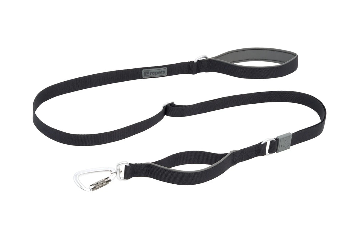 RC Pets 🍁 7ft Black Stratus Leash