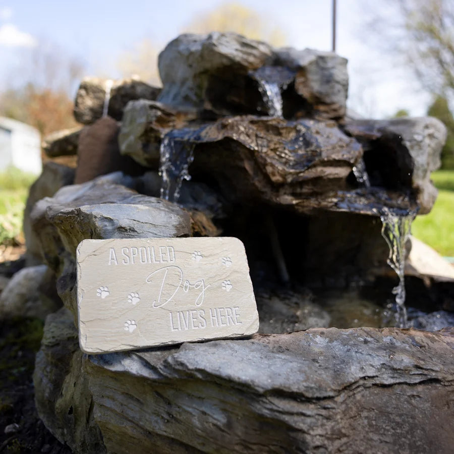 "Spoiled Dog" 7" x 4.25" Garden Stone