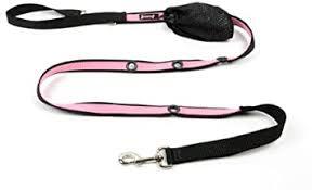 Smoochy Poochy 🍁Baby Pink & Black Hands Free Leash