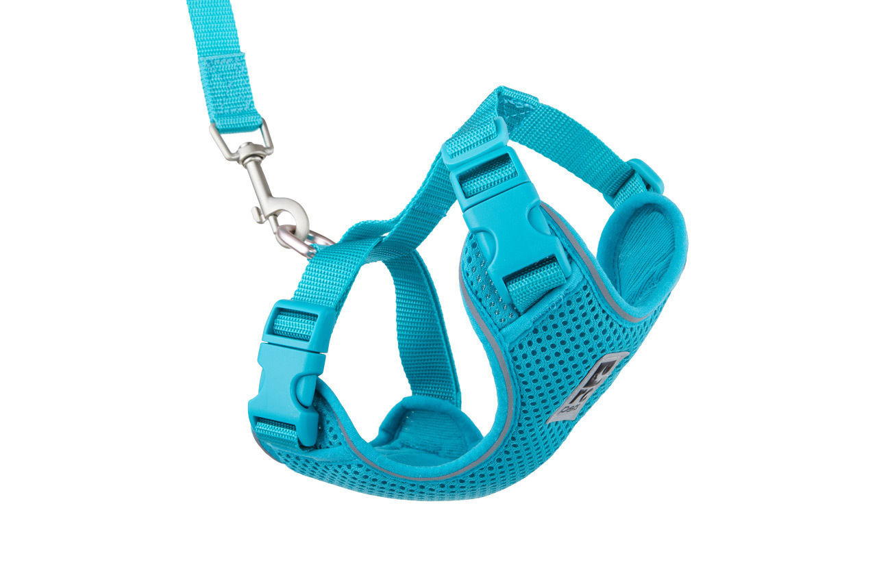 RC Pets 🍁Teal Adventure Kitty Harness
