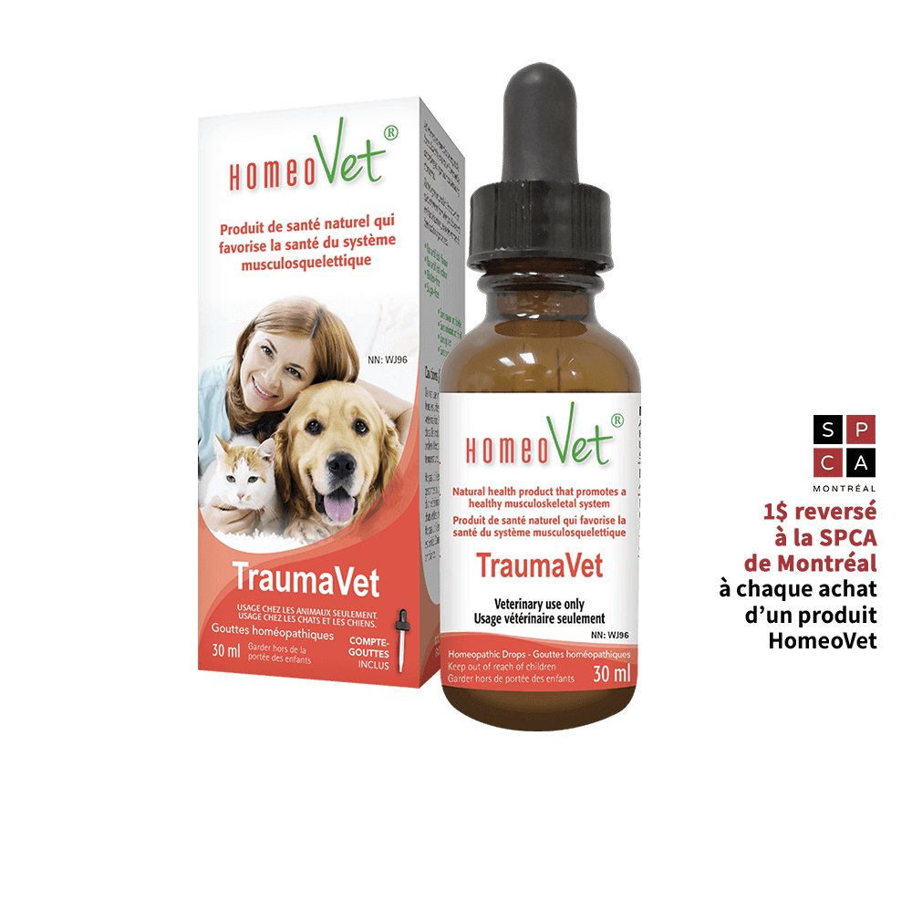 Homeovet 🍁Traumavet 30Ml