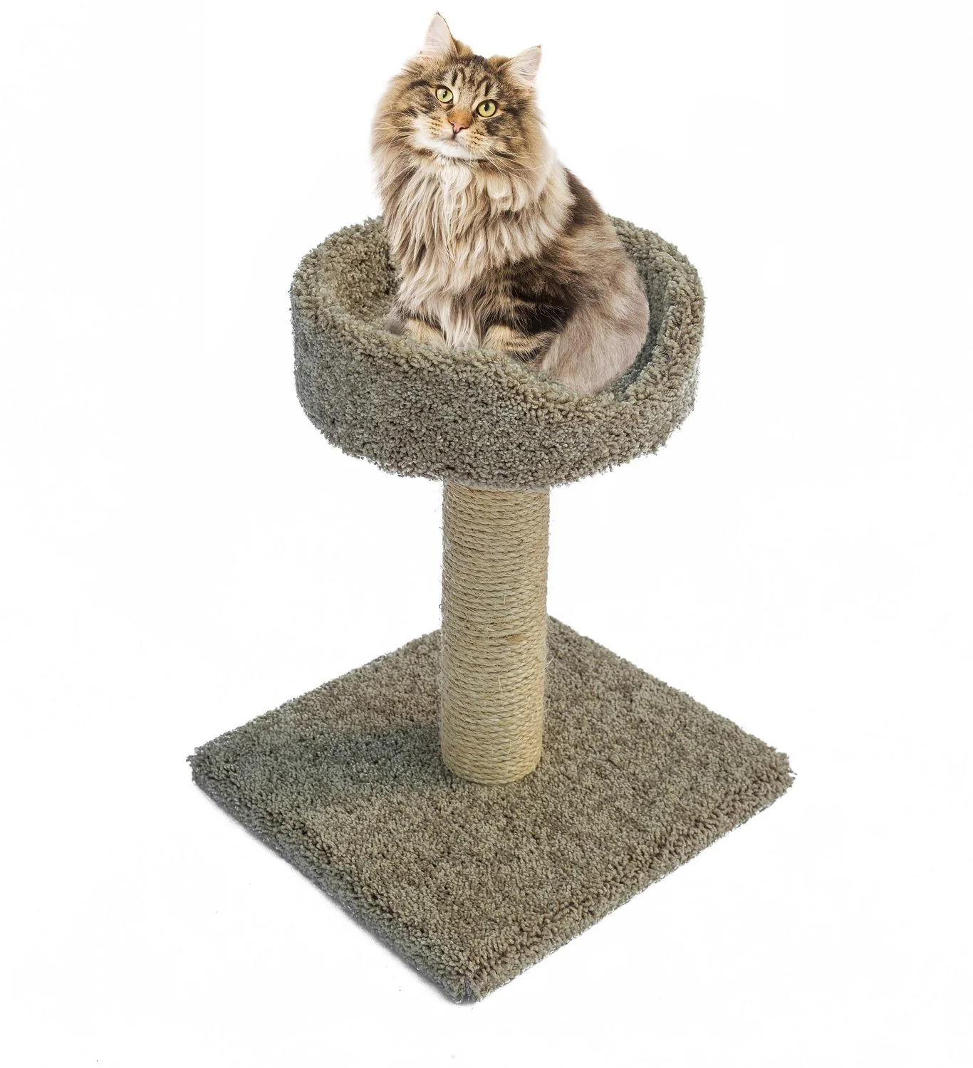 Wonderpet 🍁Sisal Scratch Post W/ Basket