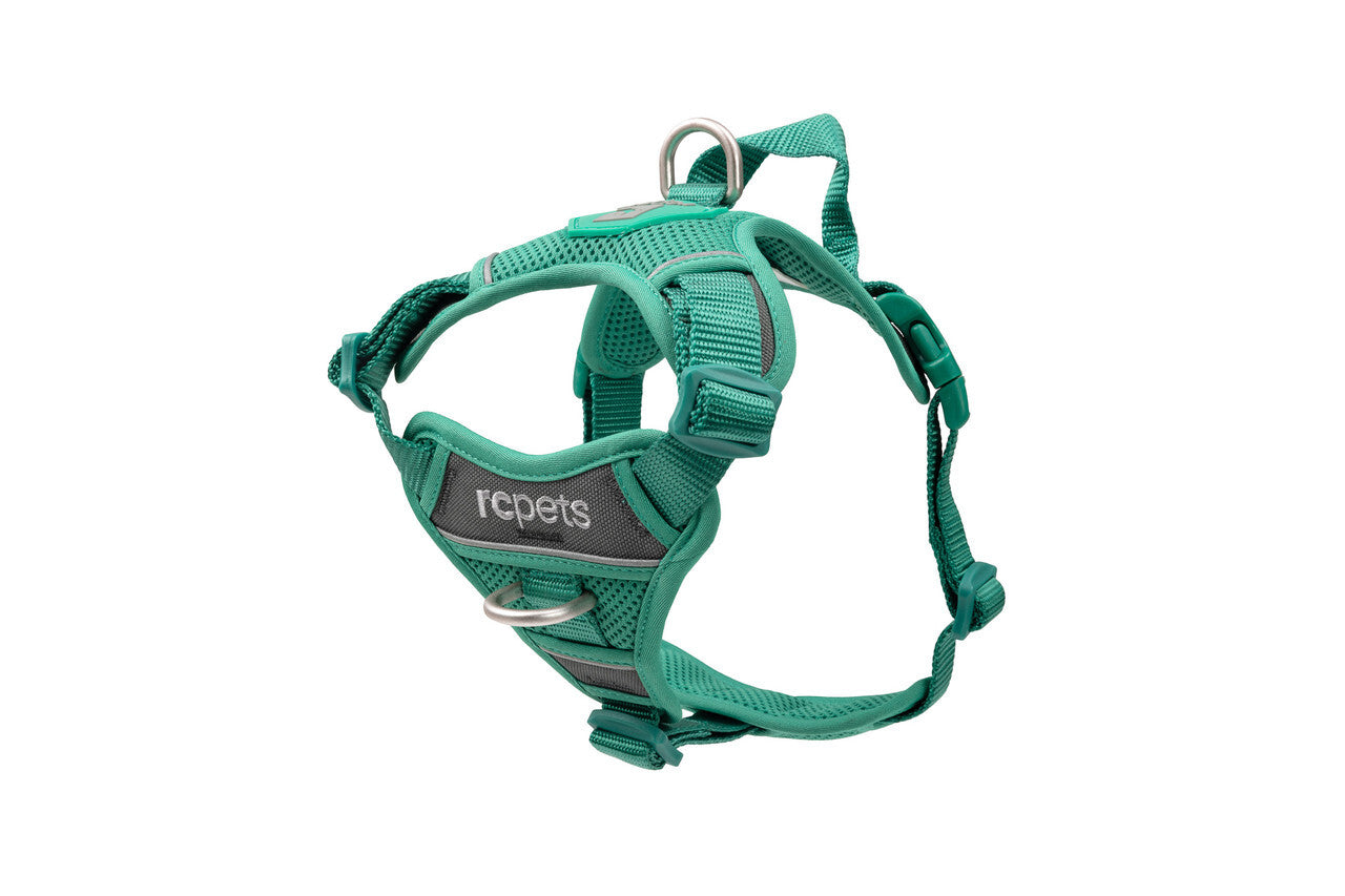 RC Pets🍁 Parakeet Green Momentum Control Harness