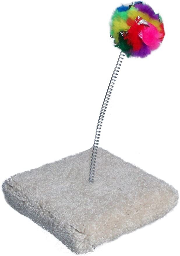 Cancor 🍁Crinkle Spring