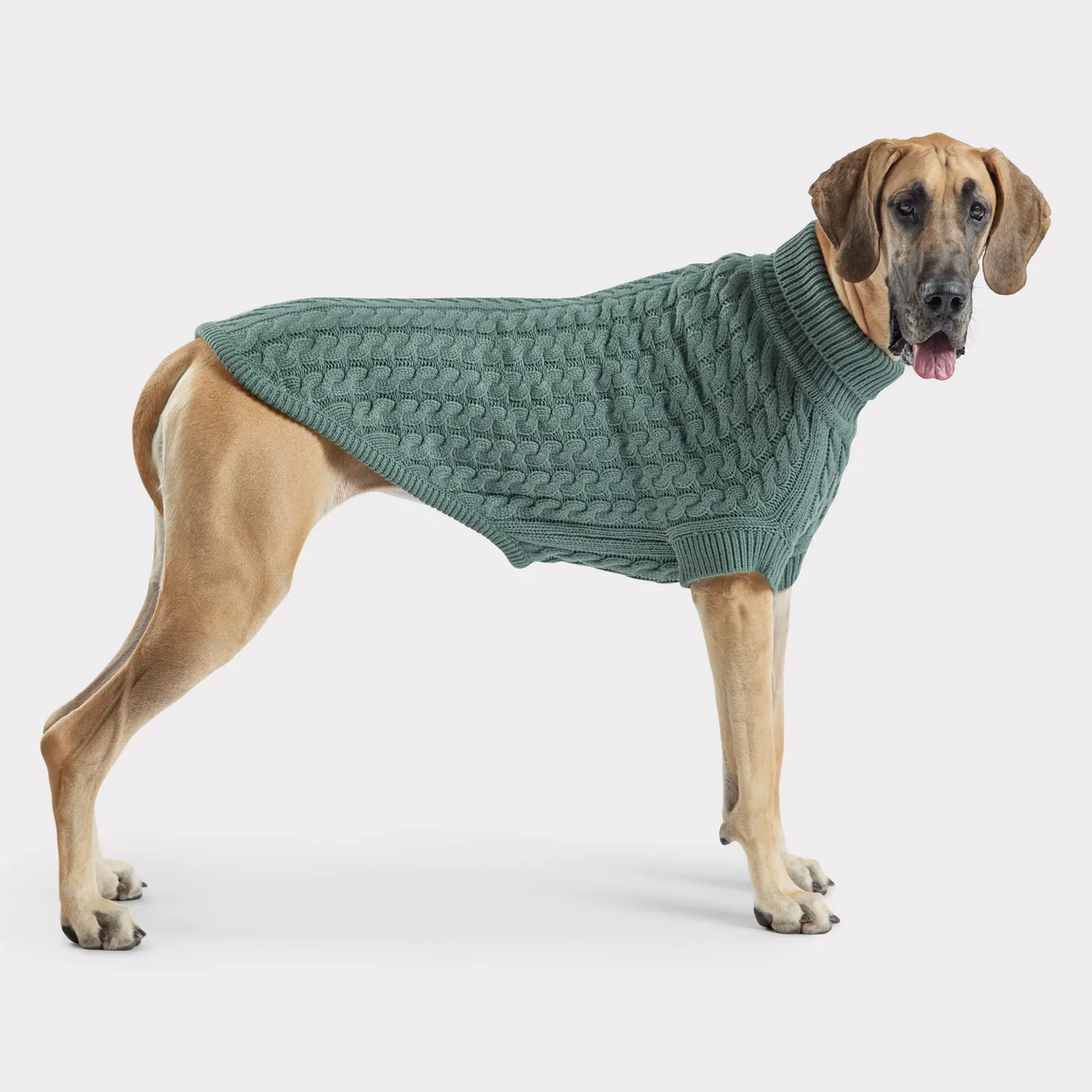 GF Pet 🍁Sage Chalet Sweater for Dogs
