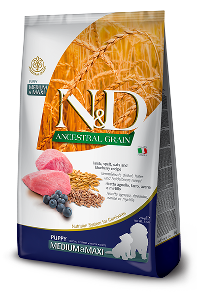 Farmina N&D Puppy Med/Maxi Ancestral Grains Lamb & Blueberry for Puppies