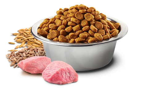 Farmina N&D Puppy Med/Maxi Ancestral Grains Lamb & Blueberry for Puppies