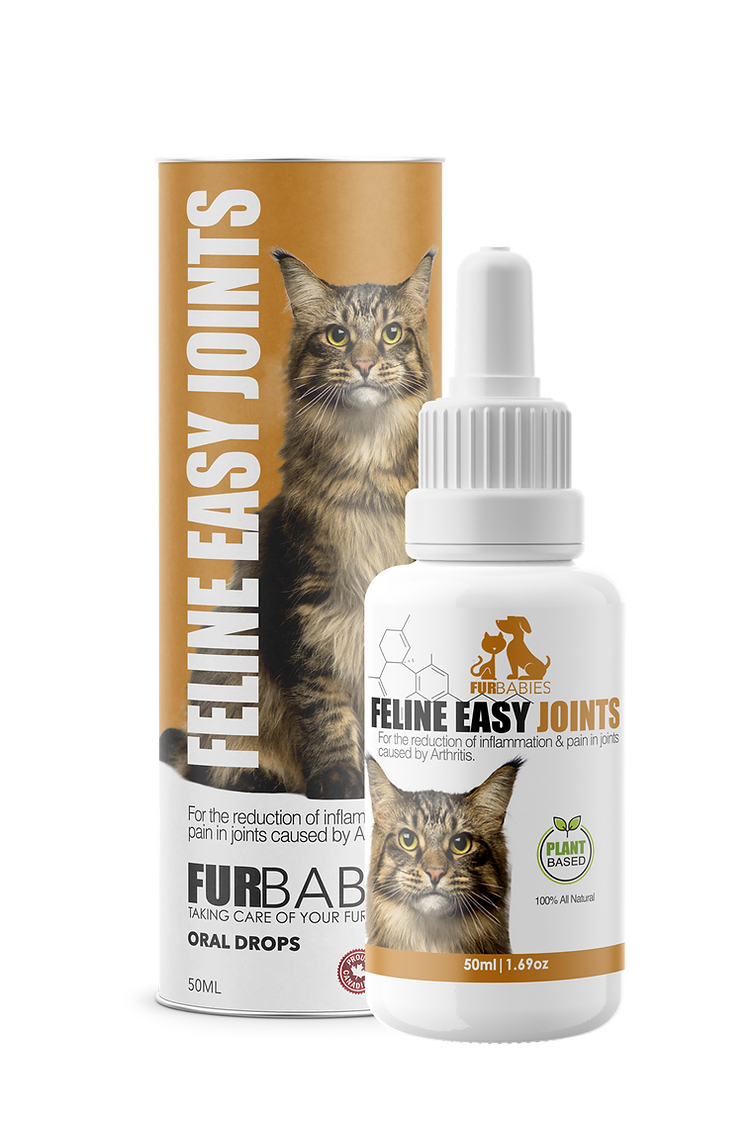 Furbabies 🍁Feline Easy Joints 50ml