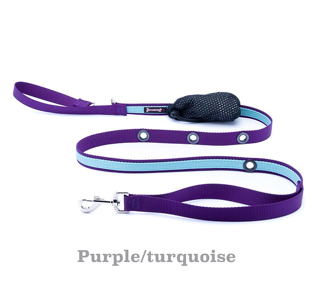 Smoochy Poochy 🍁Purple & Turquoise 5/8 x 6 Hands Free Leash