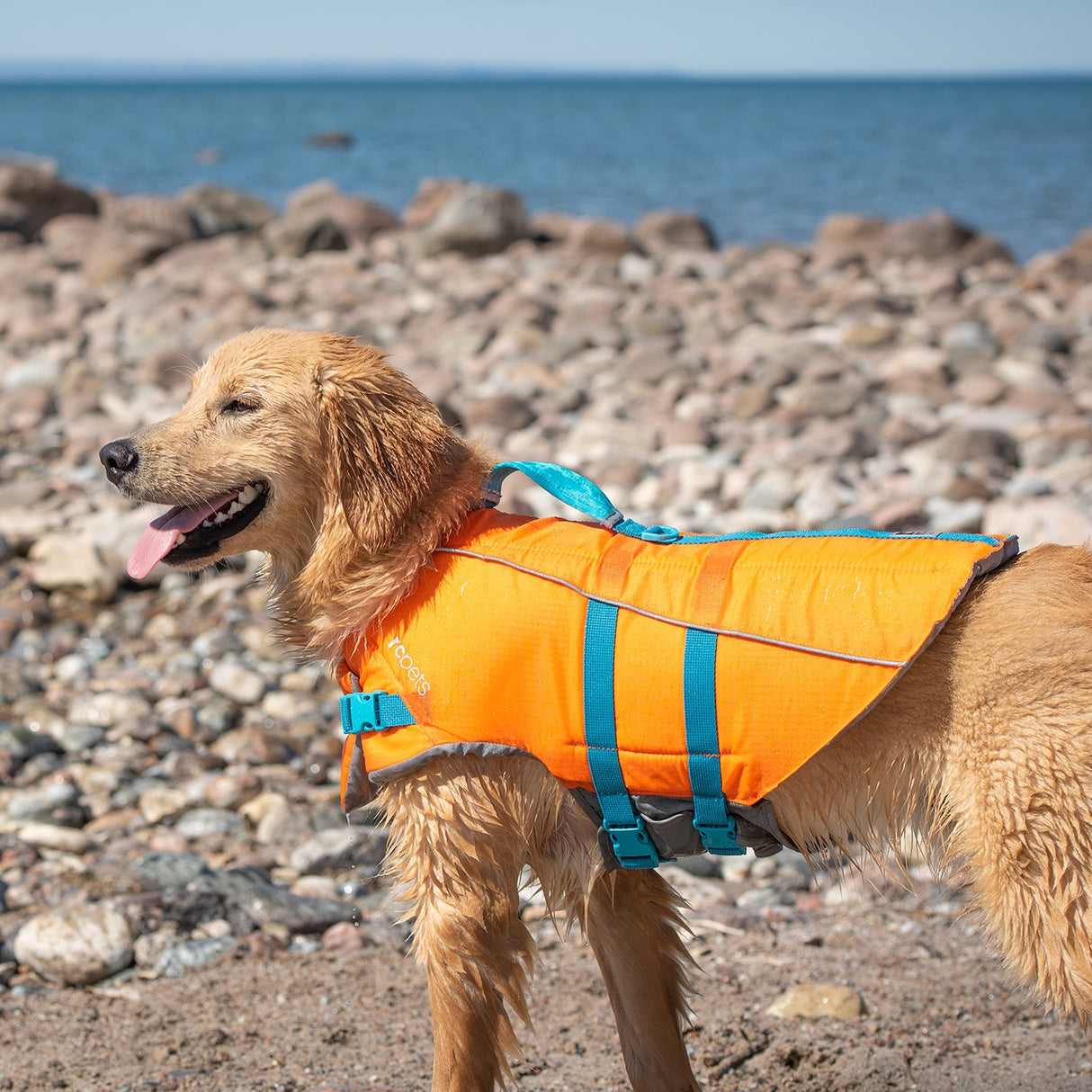 RC Pets🍁 Tidal Life Vest