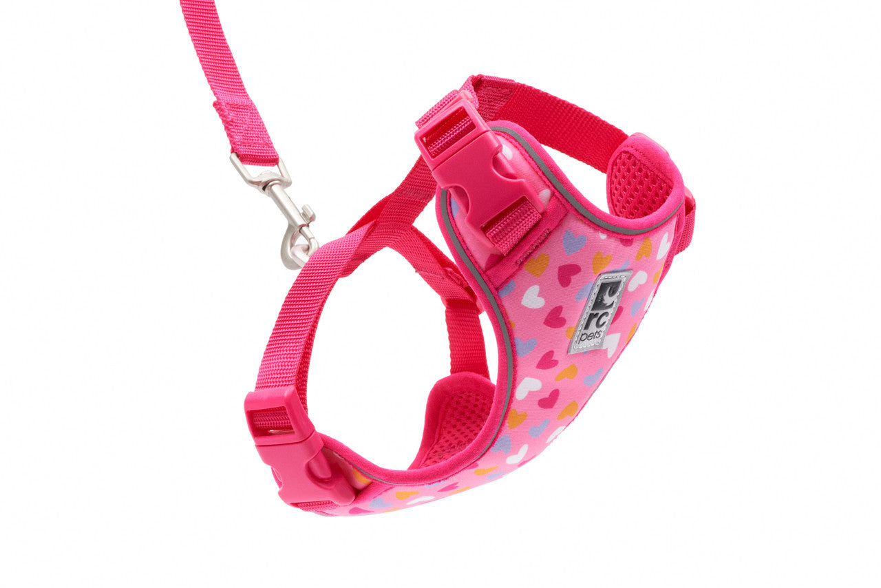 RC Pets🍁 Lil Hearts Adventure Kitty Harness