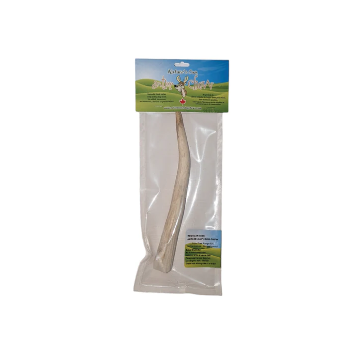 Nature's Own🍁 Naturally Shed Whole Elk Antler