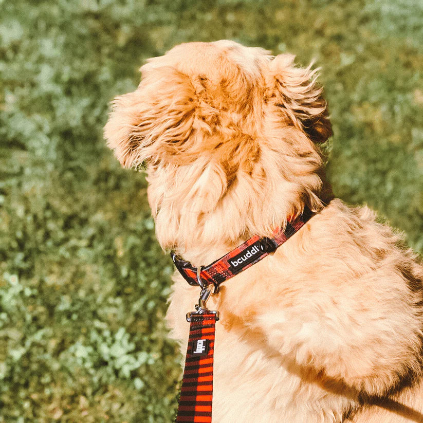 BCuddly Red Plaid Classic Dog Collar