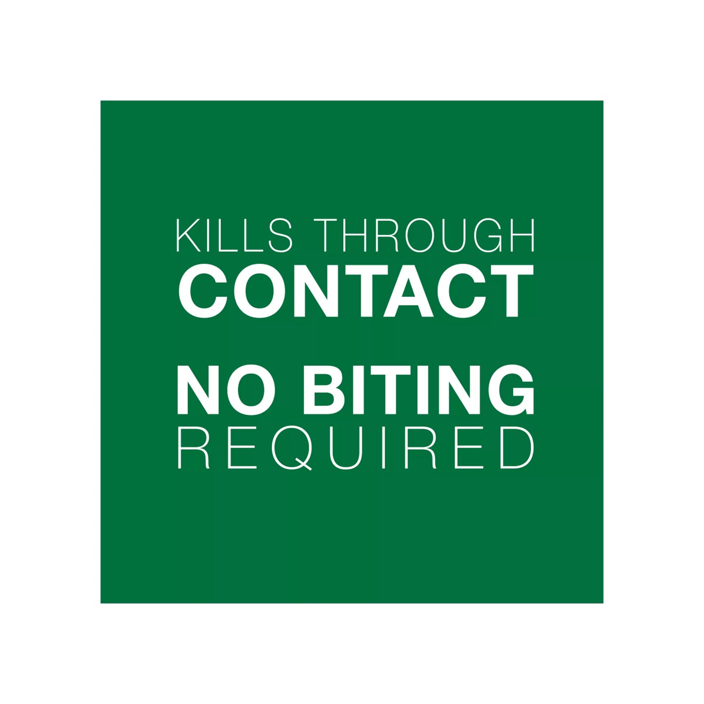 Bayer Advantage II Kitten under 2.3kg