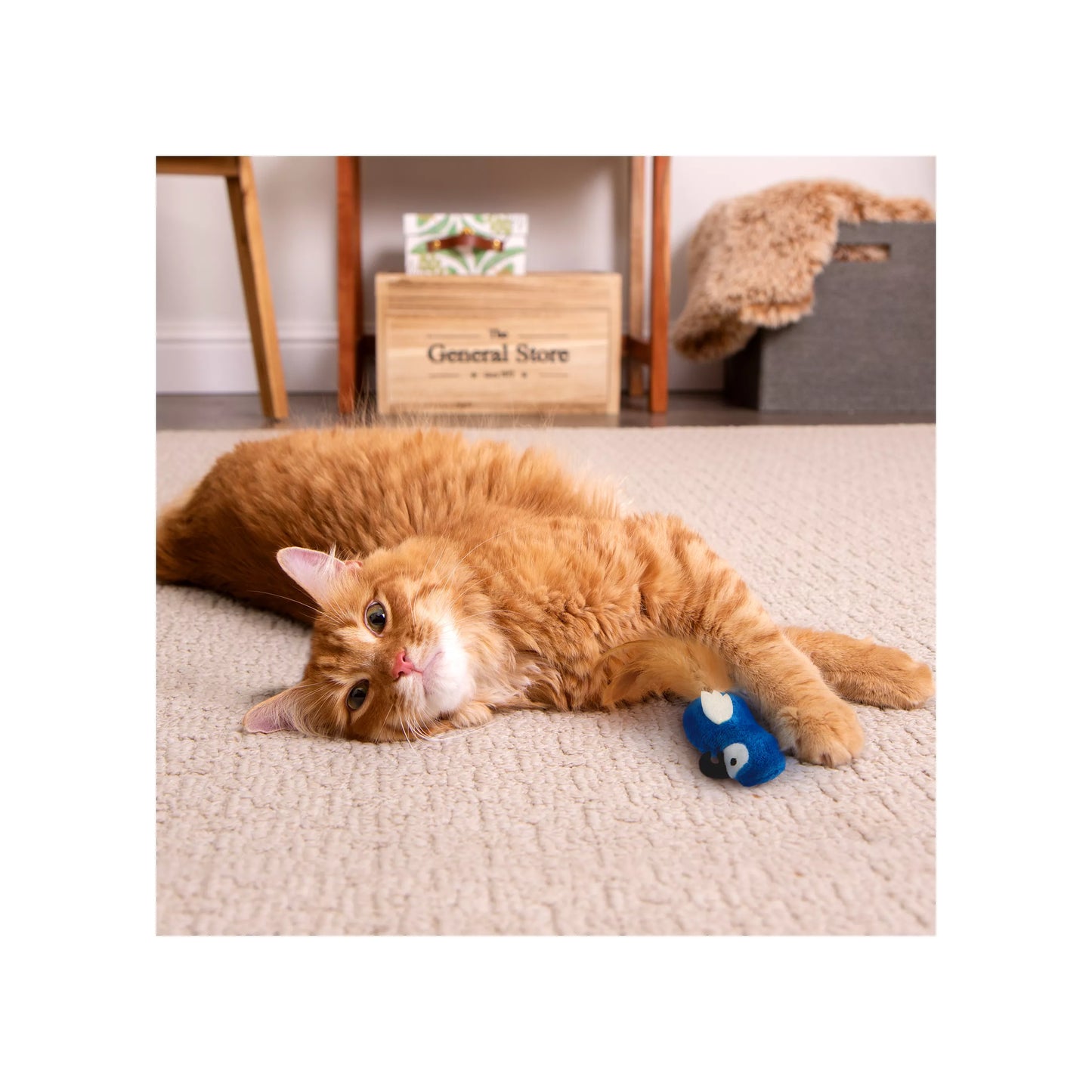 Instincts by SmartyKat Chatty Chirp HappyNip Silvervine & Catnip Plush Bird Electronic Sound Cat Toy