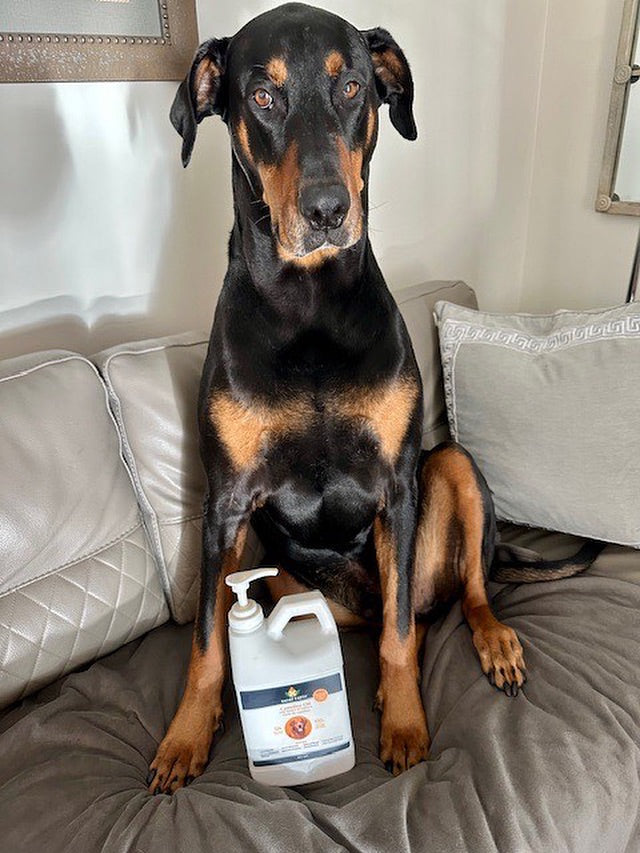 Smart Earth 🍁Camelina Oil for Dogs and Cats