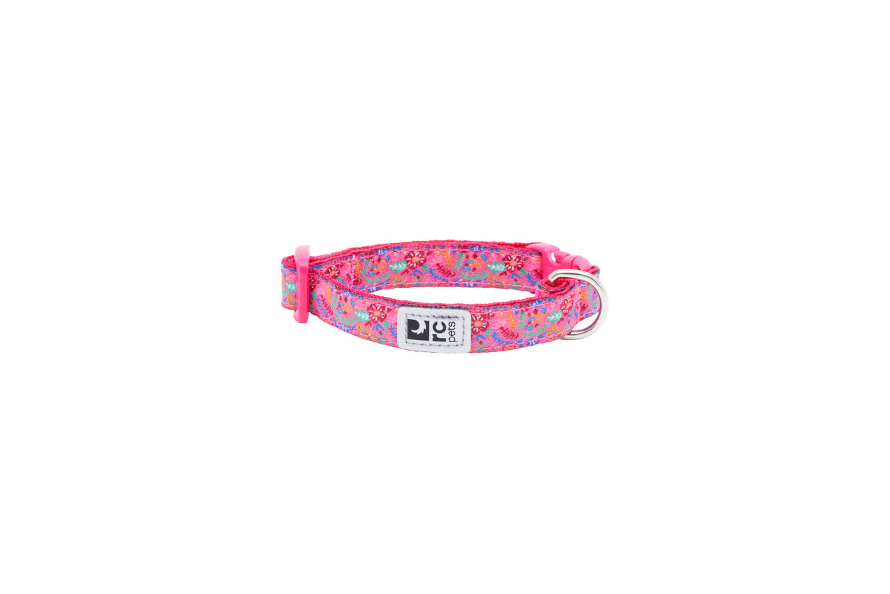 RC Pets 🍁Petite Clip Collar Primary PXS 1/2 Azalea