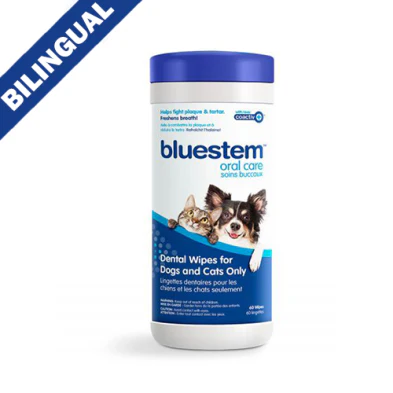 Bluestem 🍁Dental Wipes 60ct