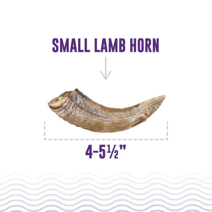 Icelandic+ Lamb Horn with Marrow Small