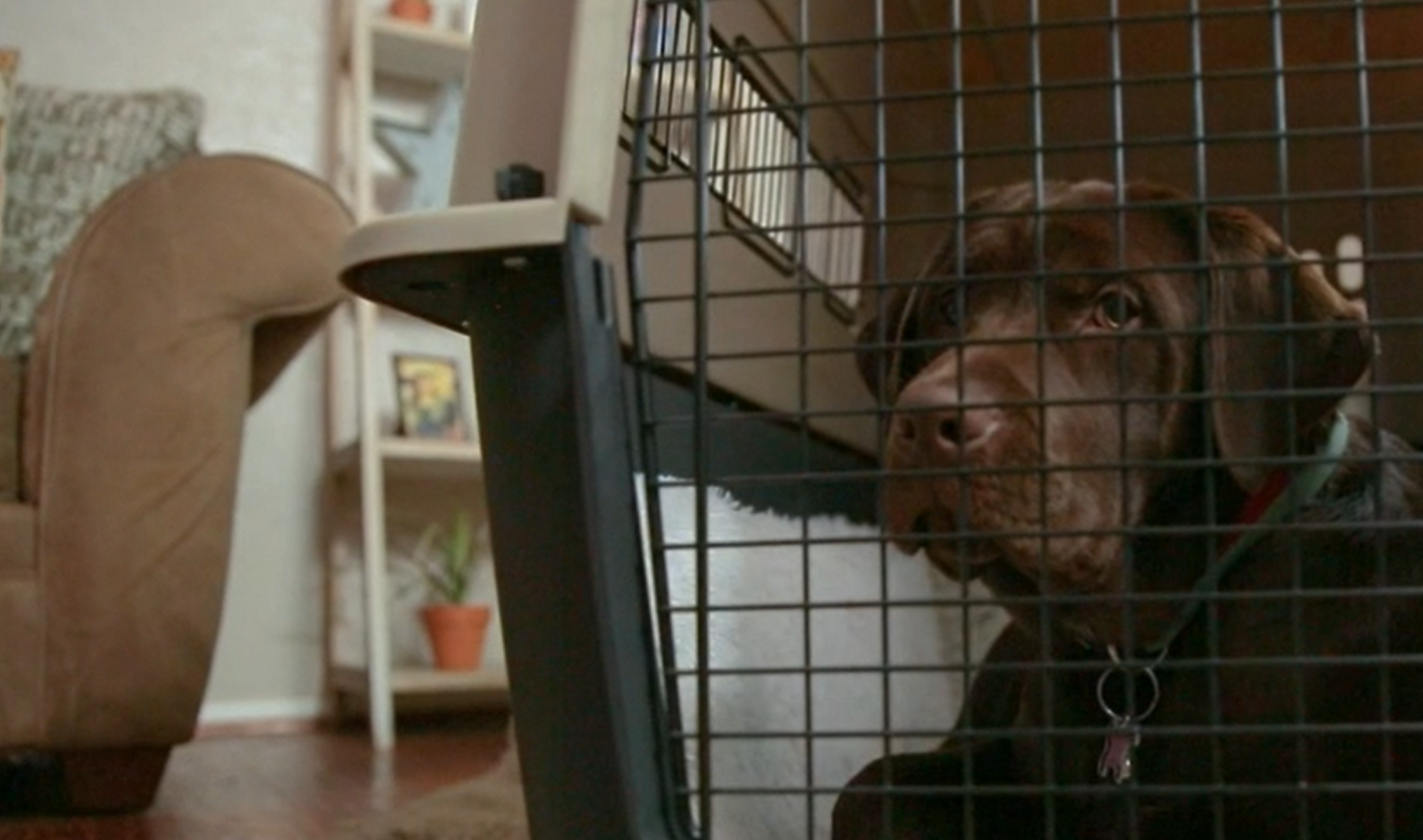Petmate Ultra Vari Kennel 40" 70-90 LB Tan / Brown