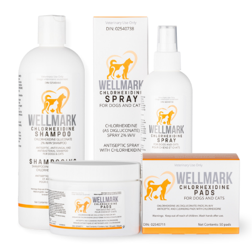 Wellmark ðChlorhexidine Shampoo 473ml