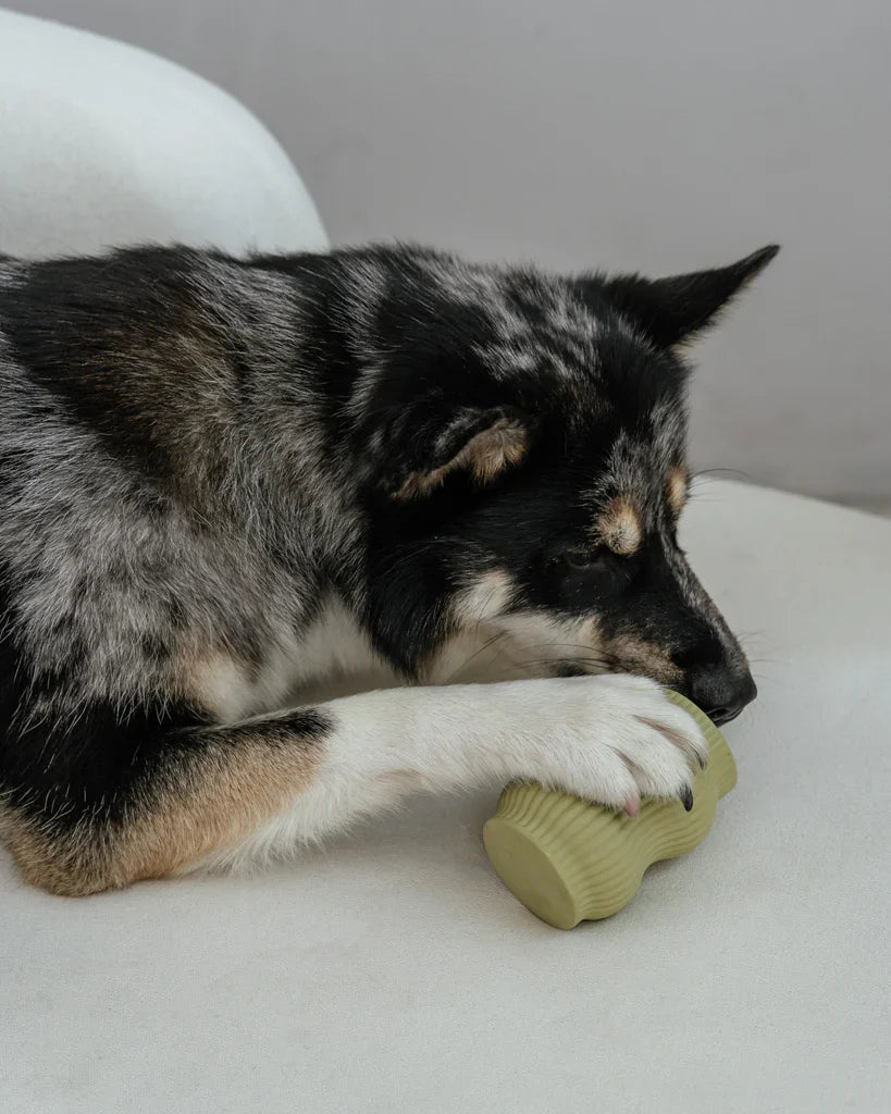 DexyPaws 🍁Sage Green - Interactive Teething Toy for Powerful Chewers