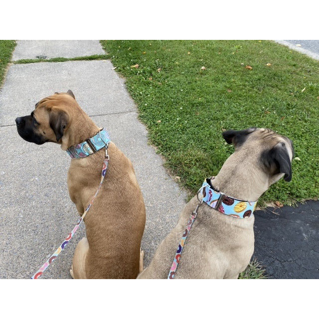 Wiggle Bumz π D'oh Nuts Martingale Dog Collar