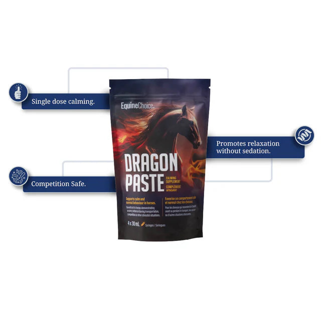 Equine Choice Dragon Paste 4 x 30ml