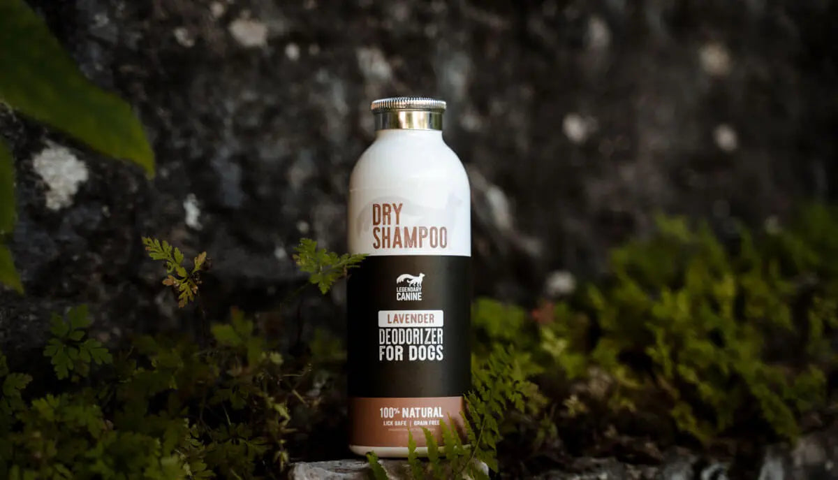 Legendary Canine🍁 Dry Shampoo 250ml