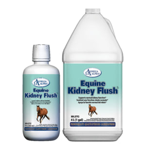 Omega Alpha🍁 Equine Kidney Flush 4L