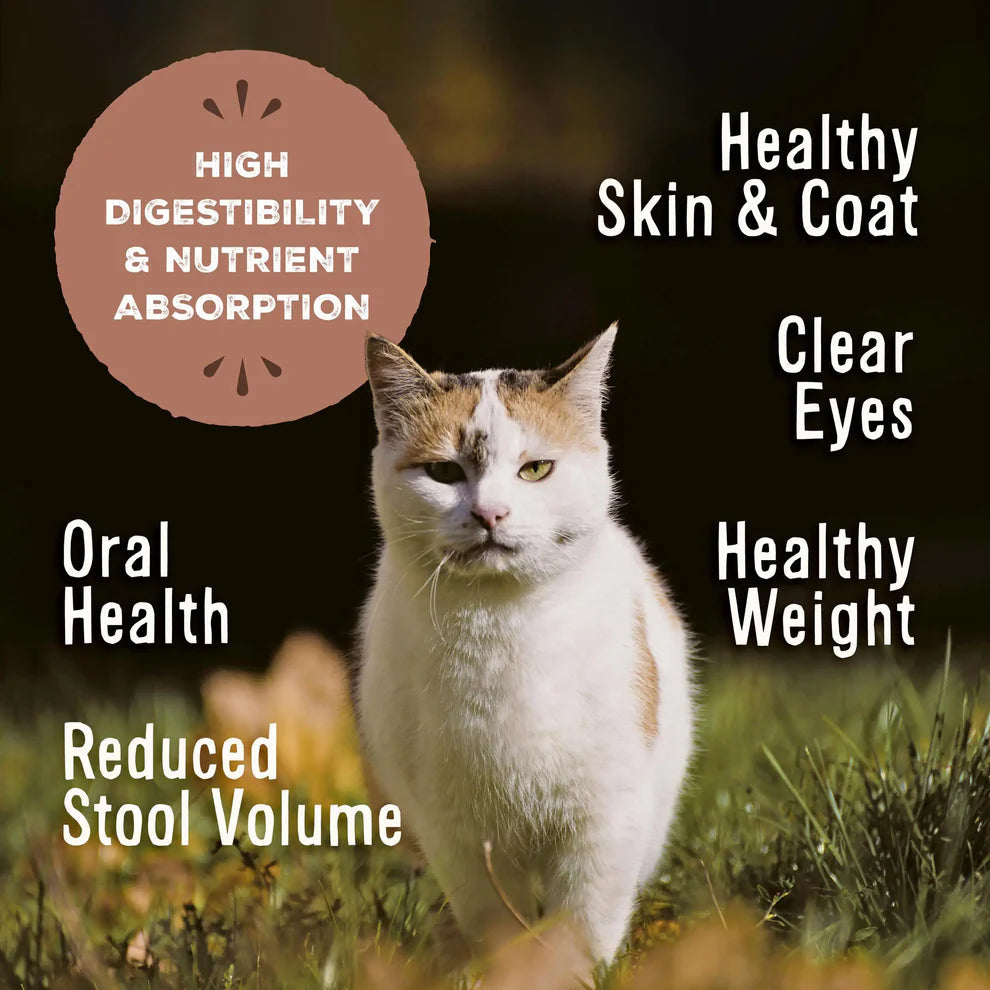 Primal™ Frozen Raw Nuggets Chicken & Salmon Recipe Cat Food 3lb