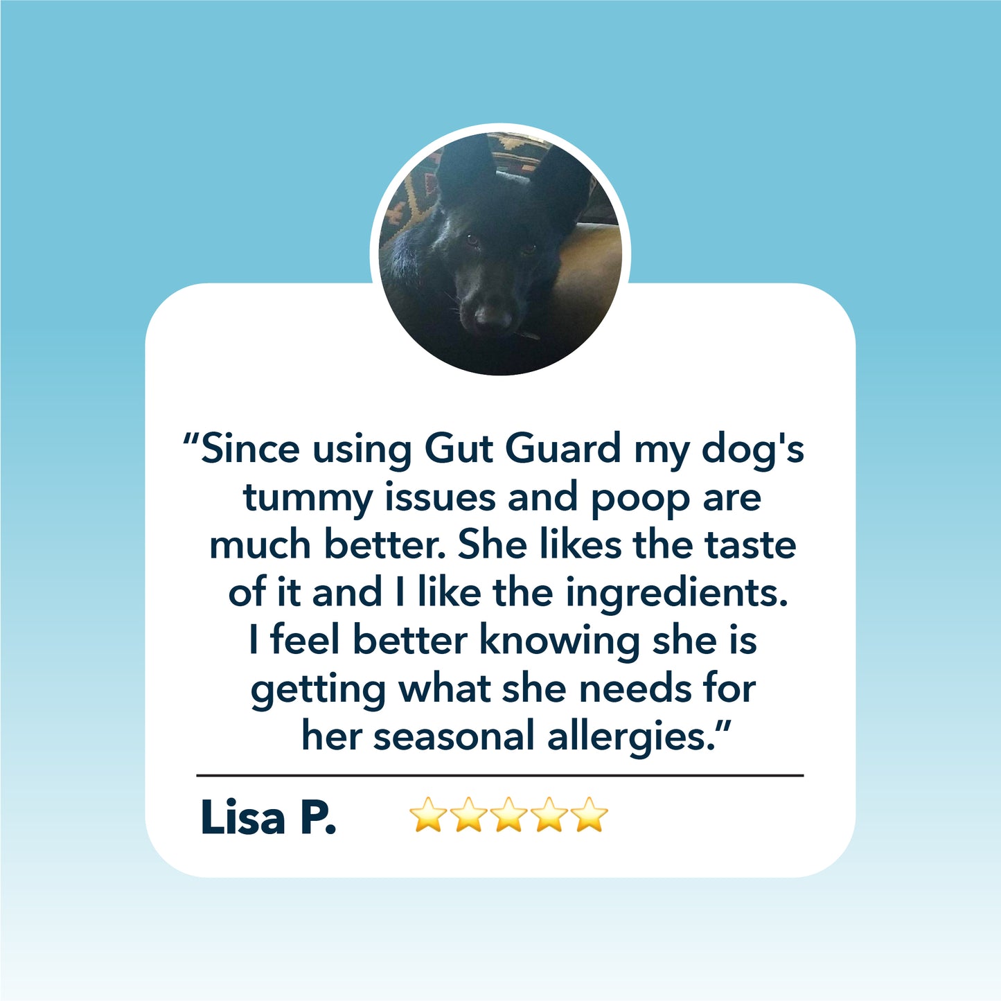 Four Leaf Rover Gut Guard - For Dogs with Irritated, Leaky Guts 114.5g