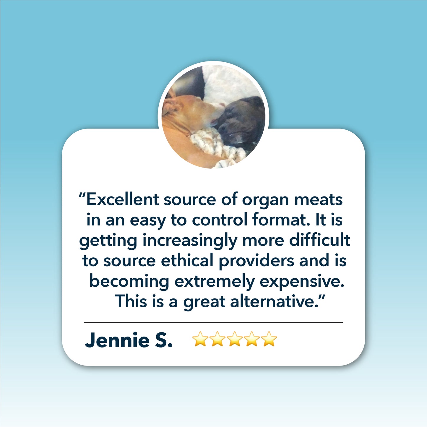 Four Leaf Rover Guts & Glory - Grass-Fed Organs for Dogs 42g