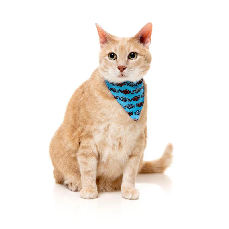 Fuzz Yard Soy Sauce Fish Wild One Cat Fashion Pack