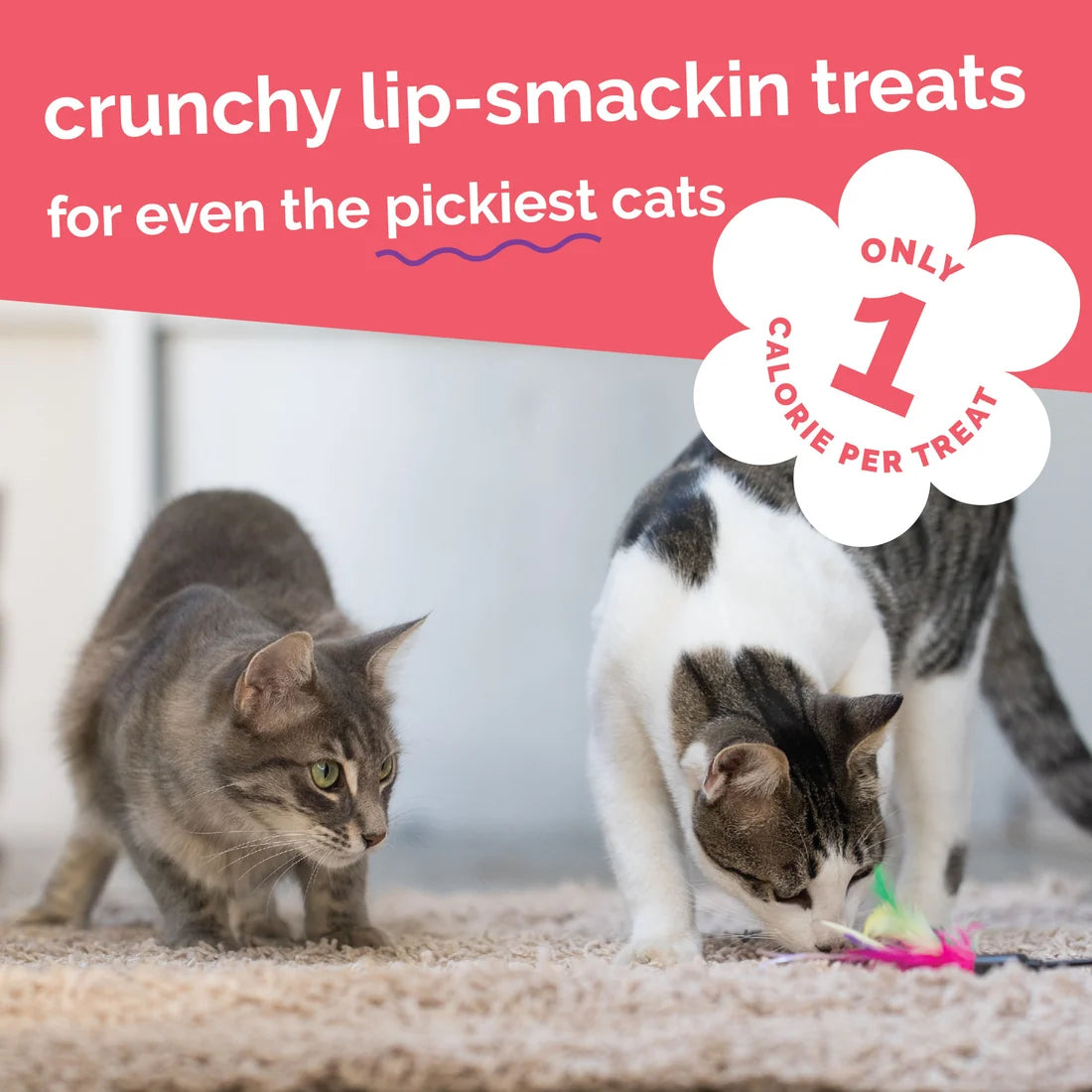 Fruitables Salmon & Cranberry Cat Treats 2.5oz