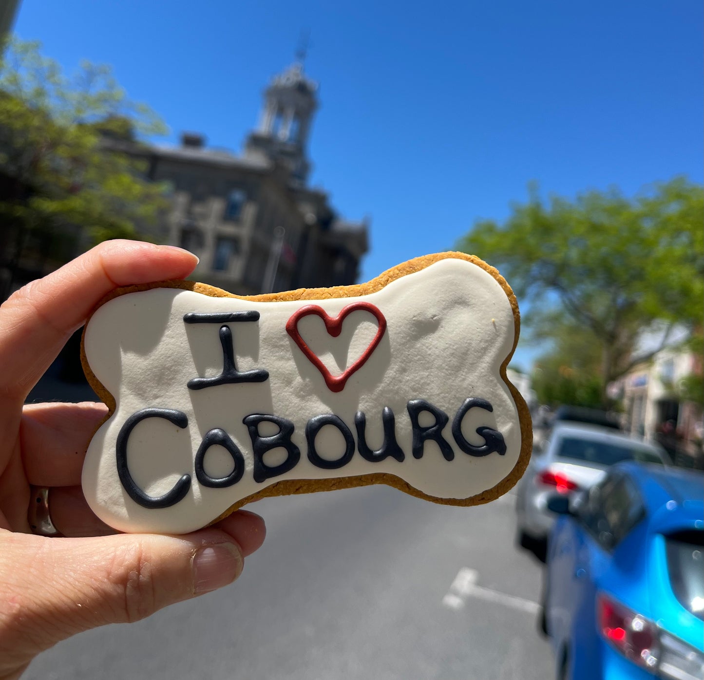 I LOVE Cobourg Large Iced Dog Cookie
