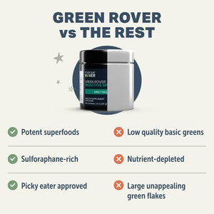 Four Leaf Rover Green Rover - Green Ferment For Dogs 36g